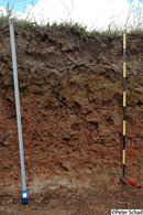 Vertic Stagnic Abruptic Solonetz (Clayic, Humic, Magnesic, Raptic) - Australia